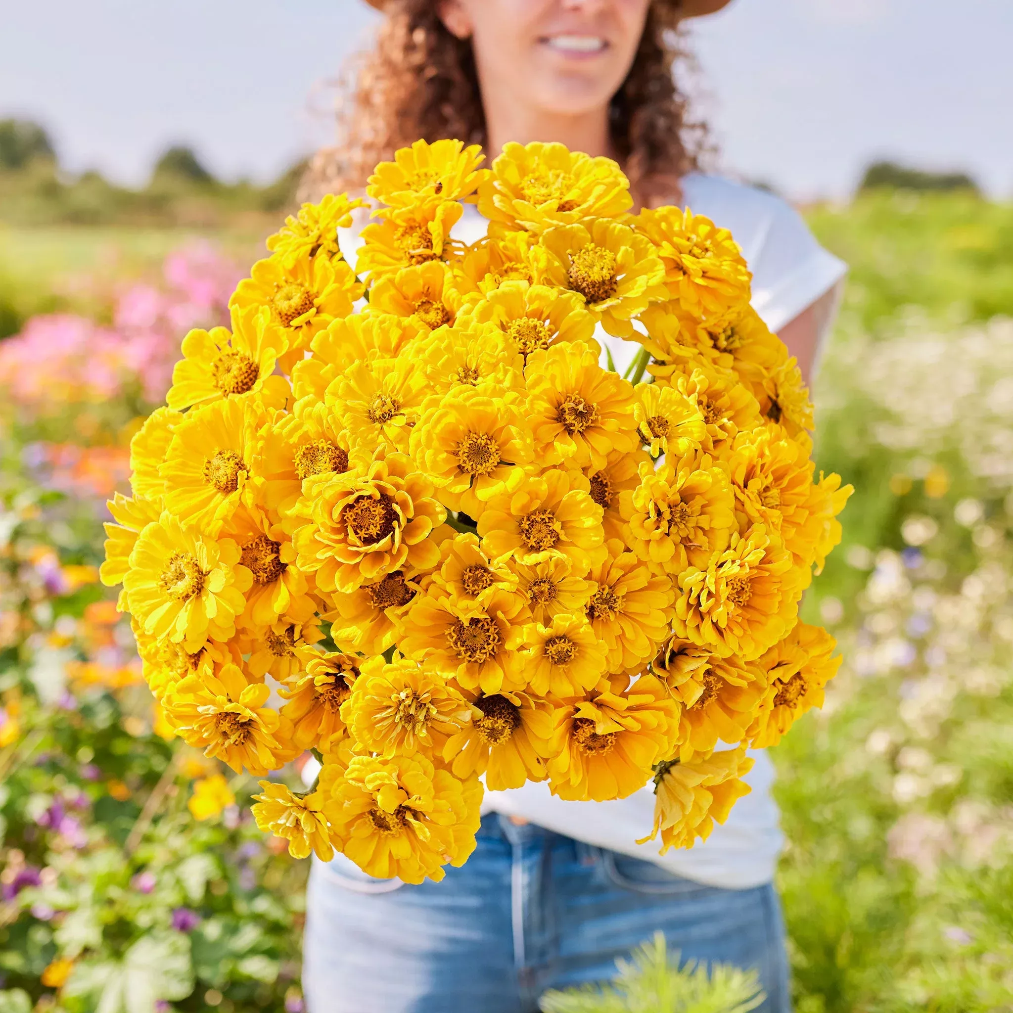 Bulk Zinnia Seeds - Golden State