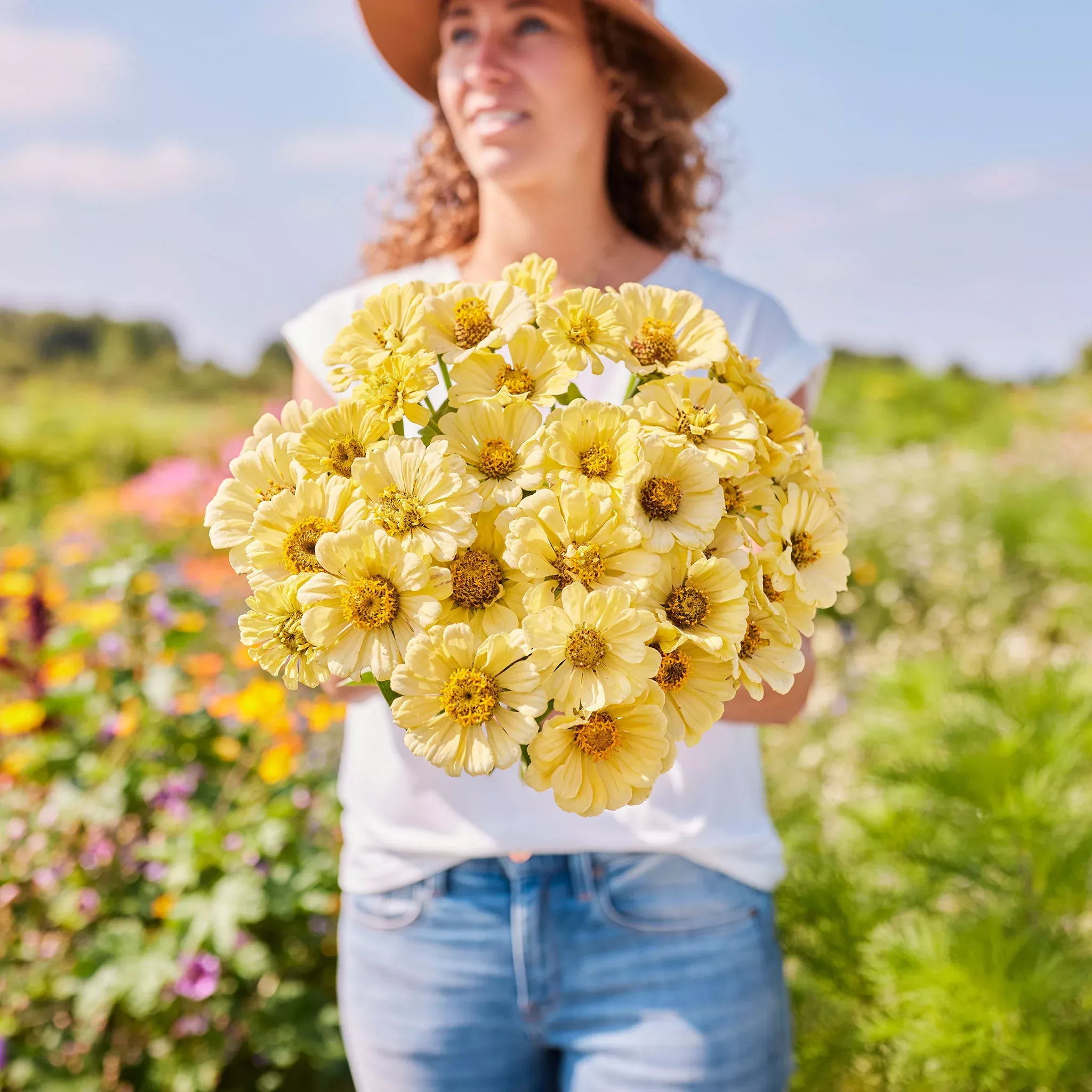 bulk-zinnia-seeds-isabellina Bulk Zinnia Seeds - Isabellina