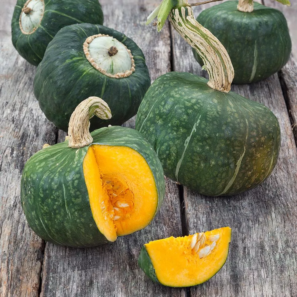 burgess-buttercup-squash Burgess Buttercup Squash
