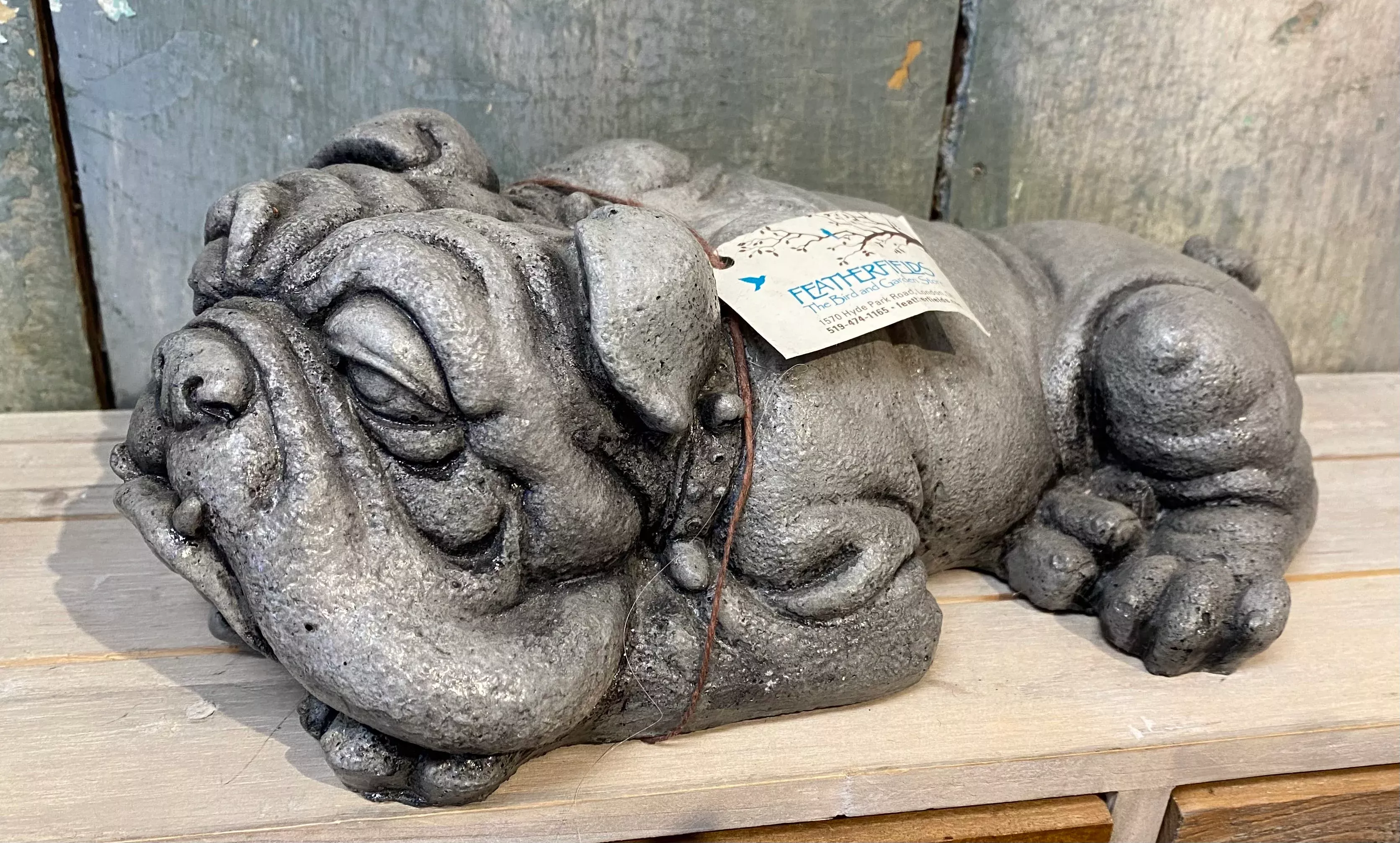 Butch the Bulldog