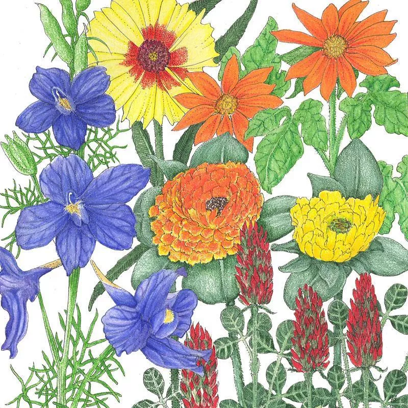 butterfly-garden-flower-mix-lb Butterfly Garden Flower Mix (lb)
