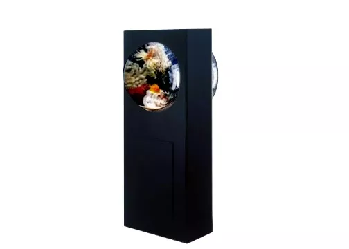 C-40DB AquaVision Aquarium