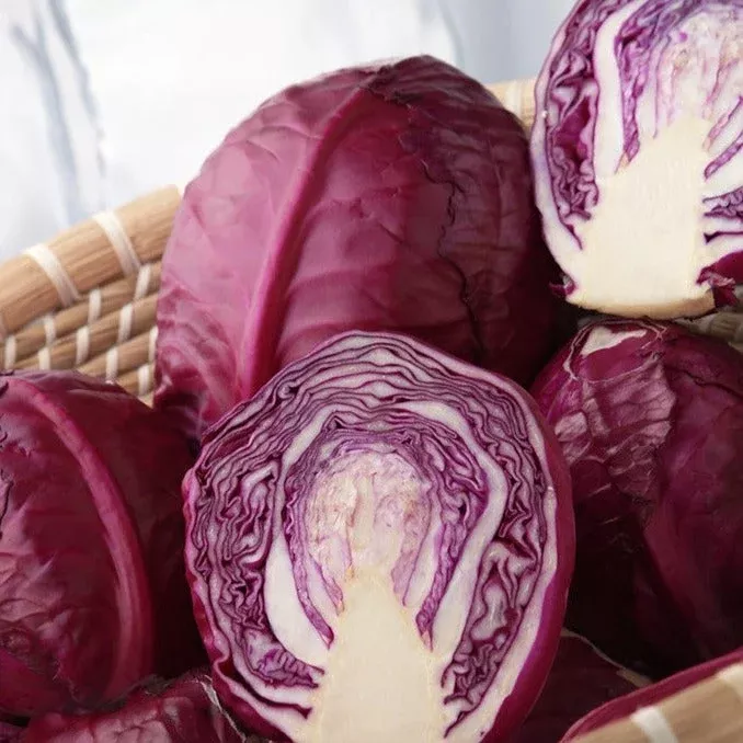 cabbage-acre-red-seeds Cabbage - Acre, Red seeds