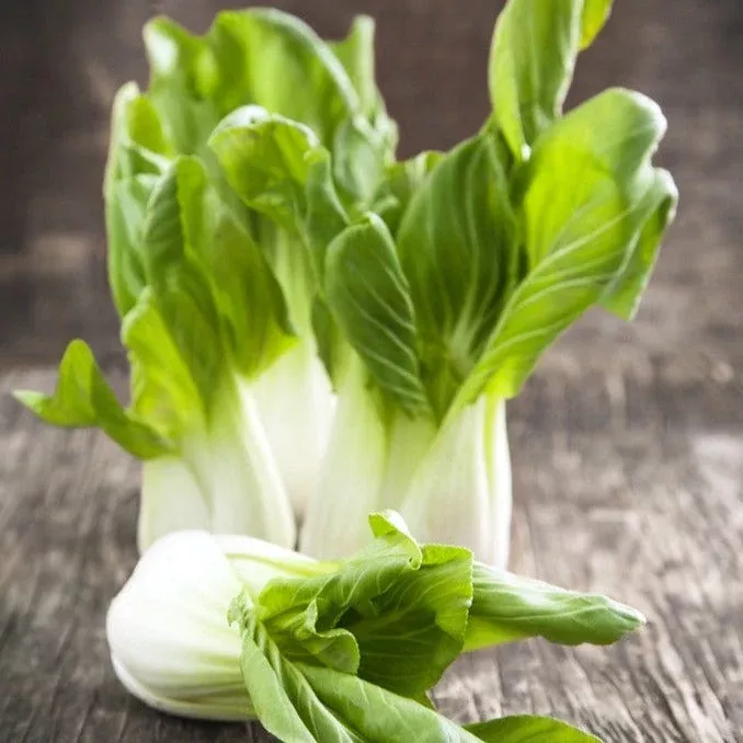 cabbage-bok-choy-chinese-pak-choi-seeds Cabbage - Bok Choy, Chinese Pak Choi seeds
