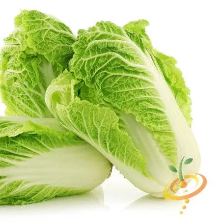 cabbage-michihili-seeds Cabbage - Michihili seeds