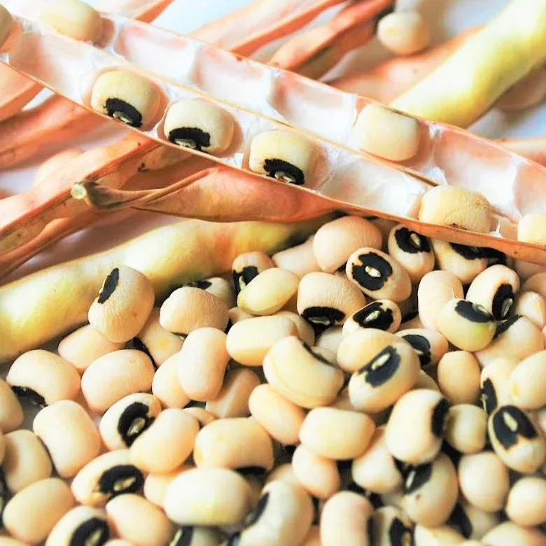 california-black-eyed-cowpea California Black Eyed Cowpea