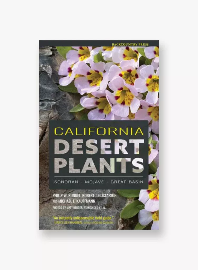 california-desert-plants California Desert Plants