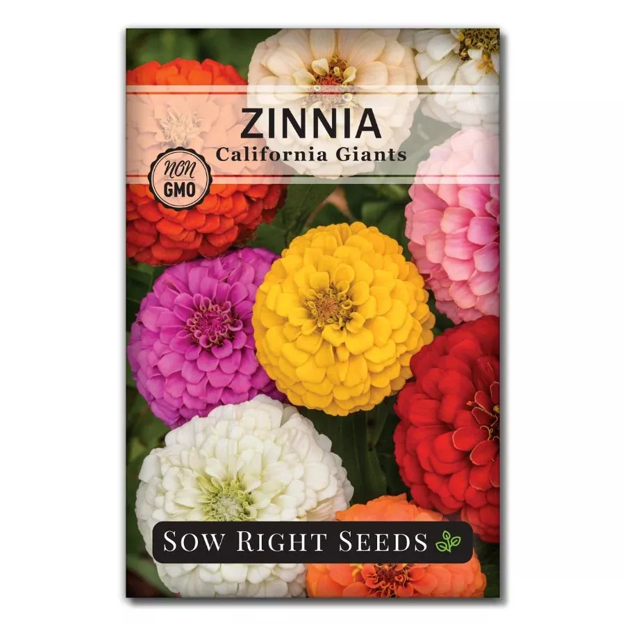 California Giants Zinnia Seeds