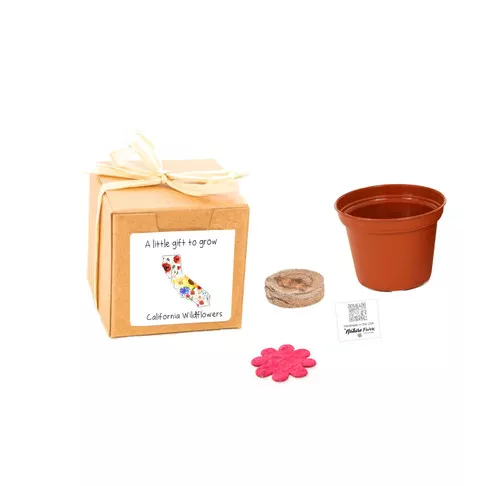 california-gift-box-grow-kits-wildflower-seeds-by-nature-favors California Gift Box Grow Kits™ Wildflower Seeds by Nature Favors™