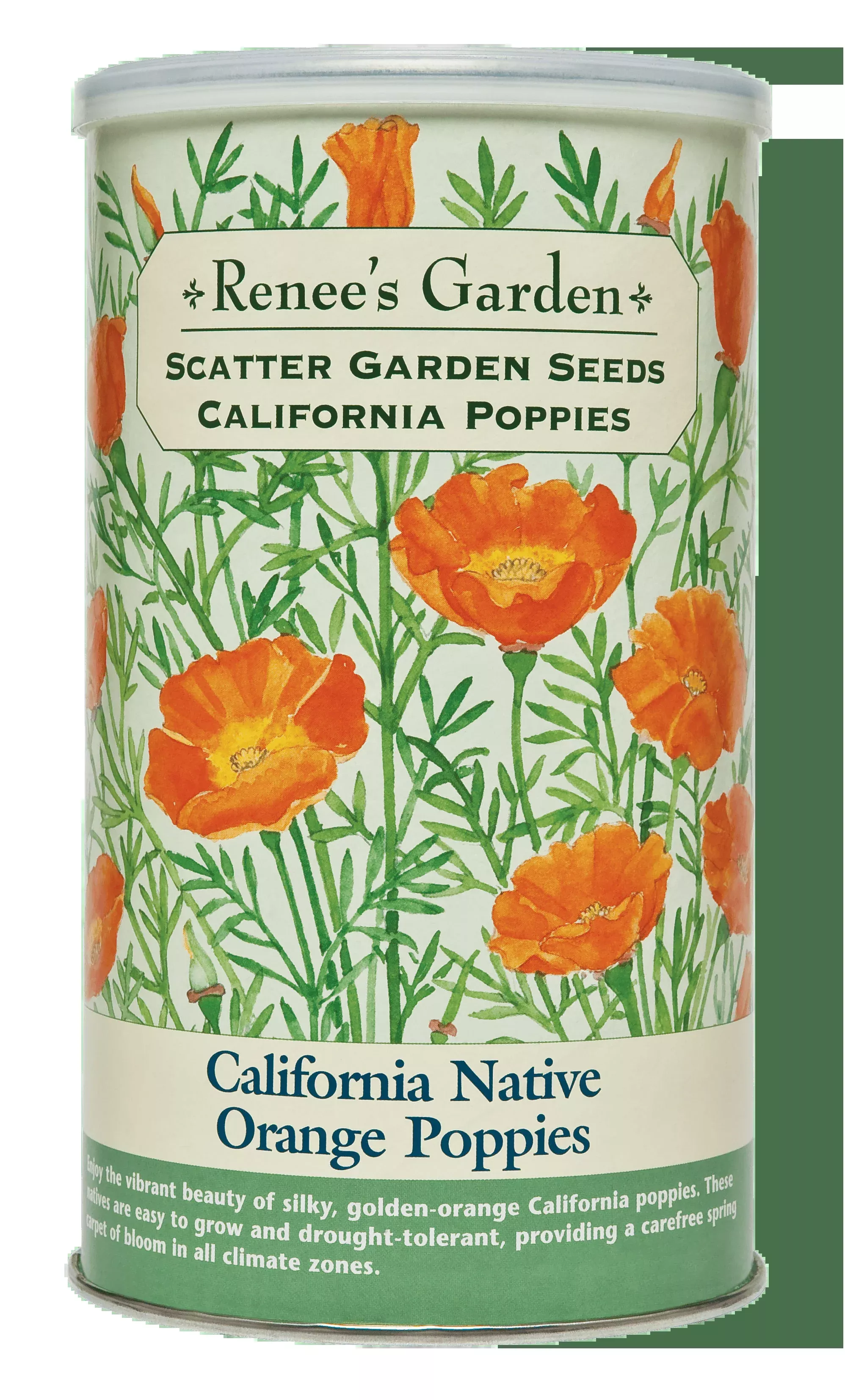 California Native Orange Poppies