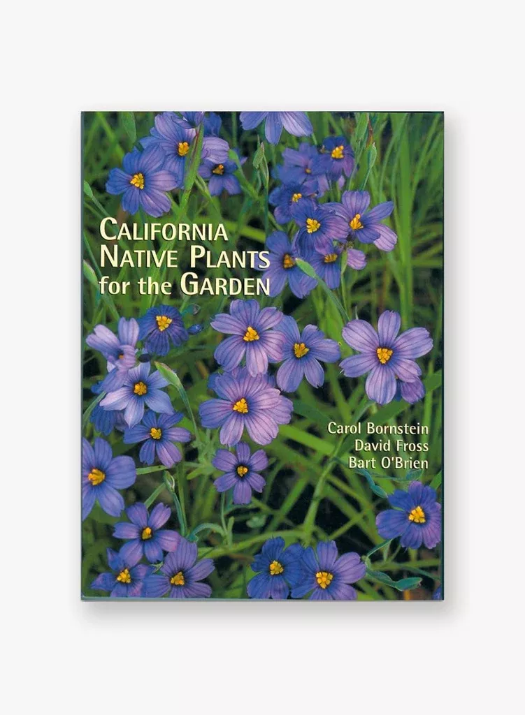 california-native-plants-garden California Native Plants for the Garden