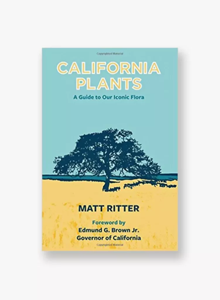 california-plants-guide-to-our-iconic-flora California Plants: A Guide to Our Iconic Flora