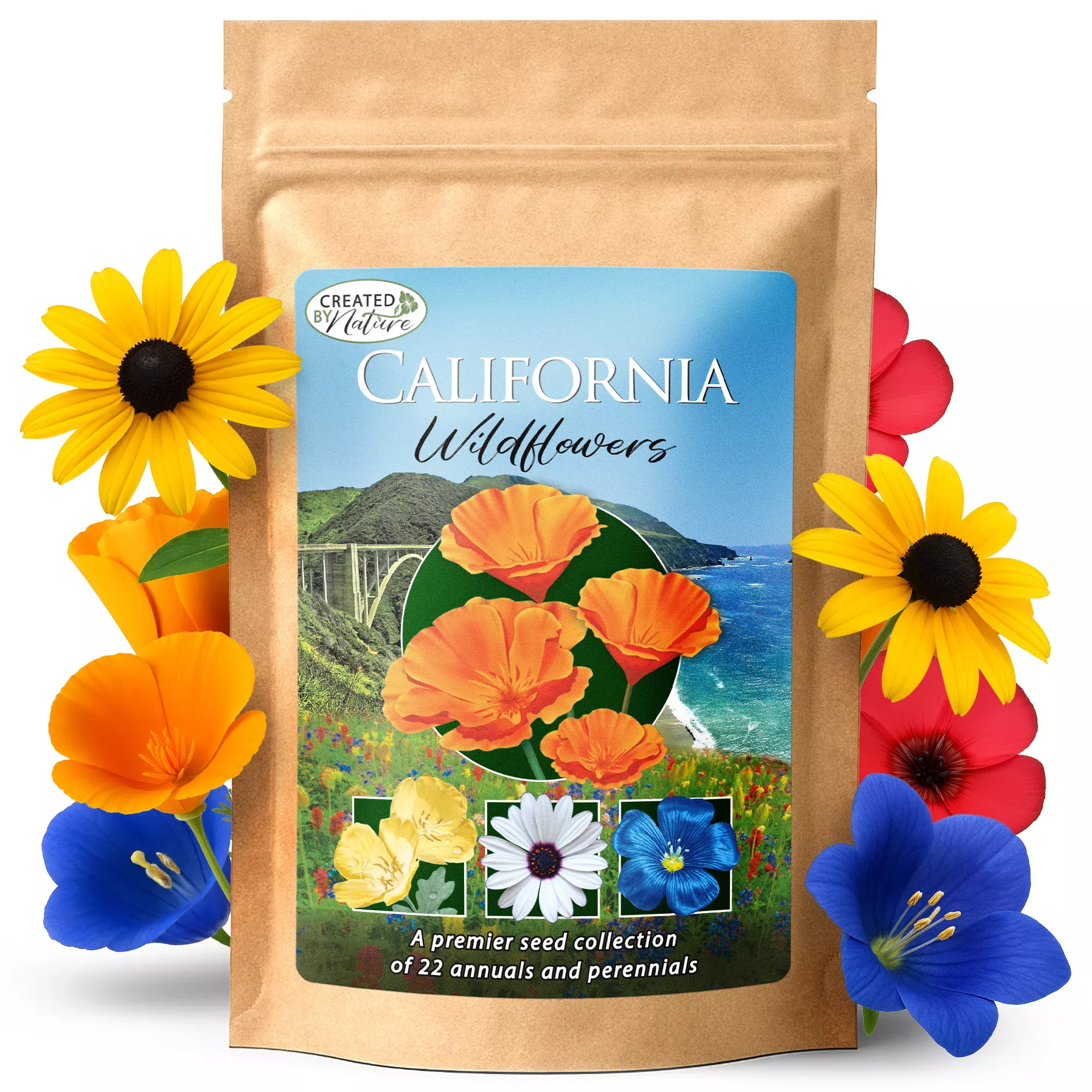 California Wildflower Seed Mix