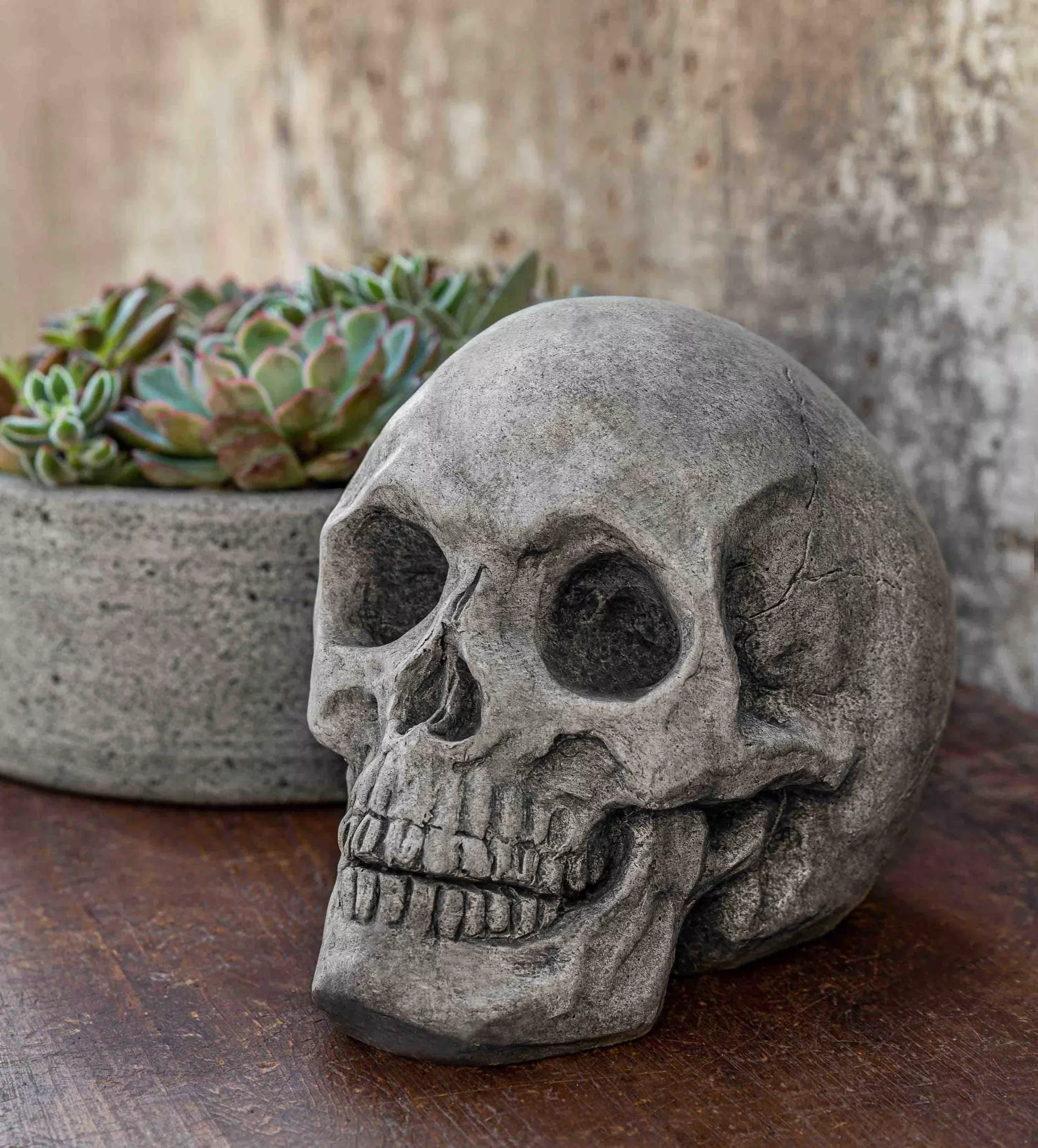 campania-alas-poor-yorick Campania Alas Poor Yorick