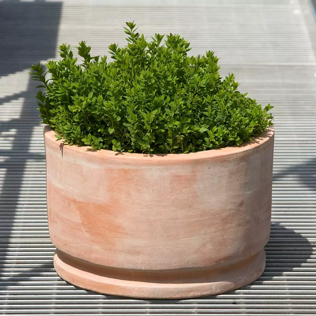 Campania Amelie Planter - Terra Cotta - Set of 2