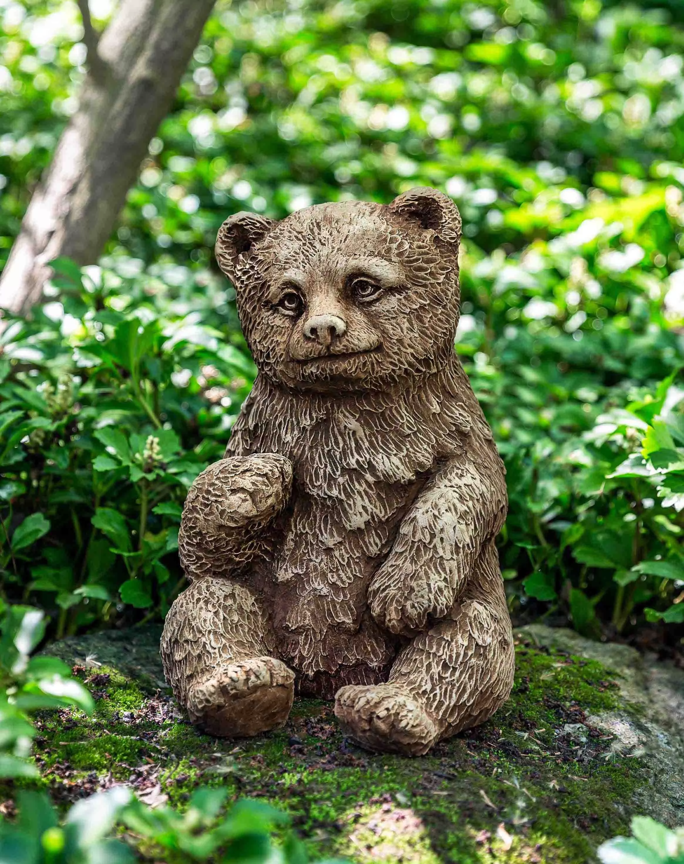 Campania Bear Cub