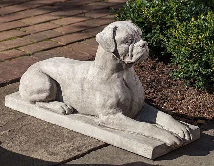 campania-boxer Campania Boxer