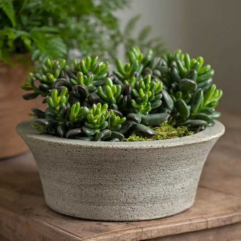 campania-bulb-planter Campania Bulb Planter