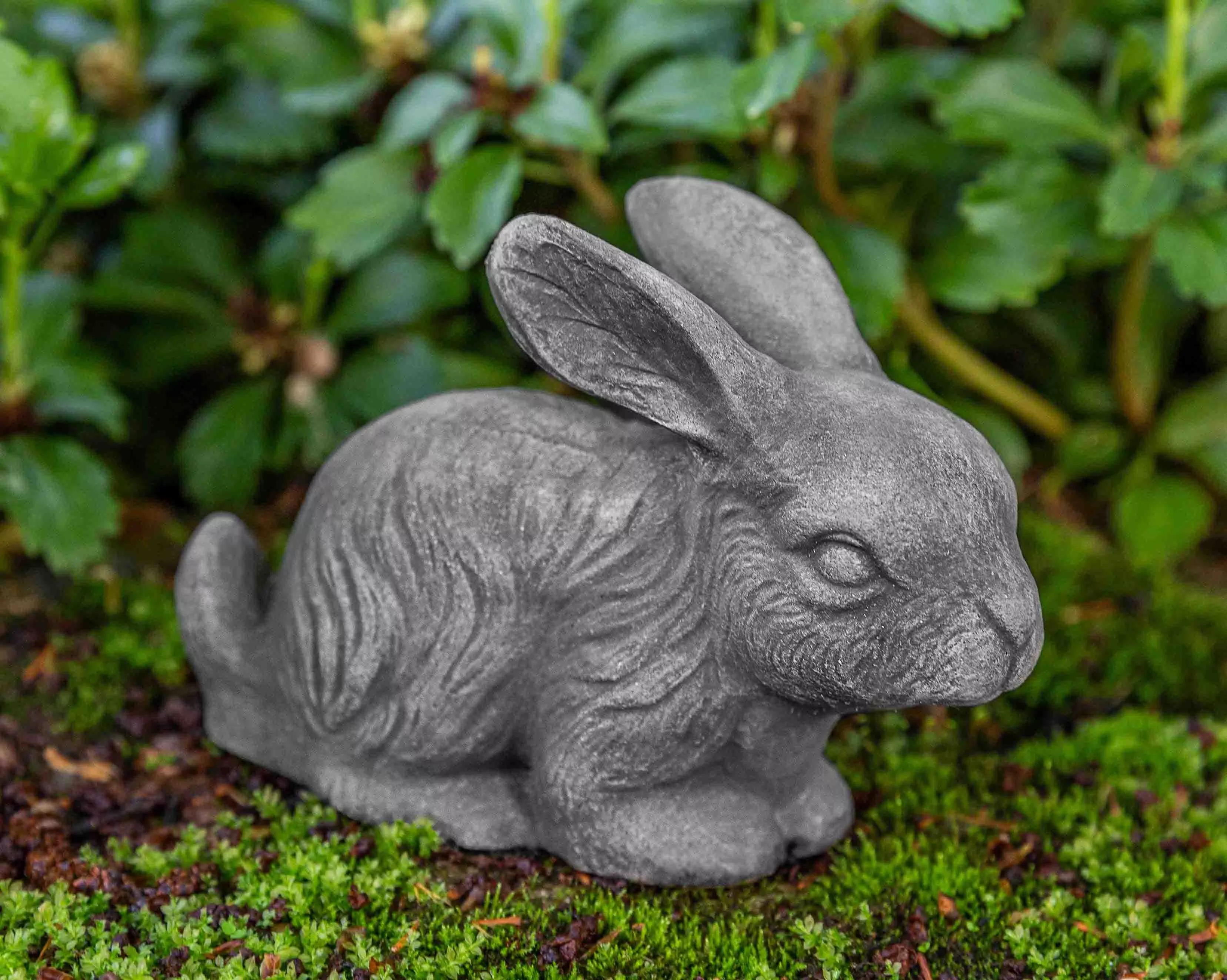 Campania Bunny