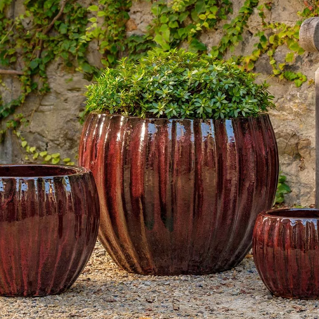 Campania Cabernet Planter - Bordeaux - Set of 3