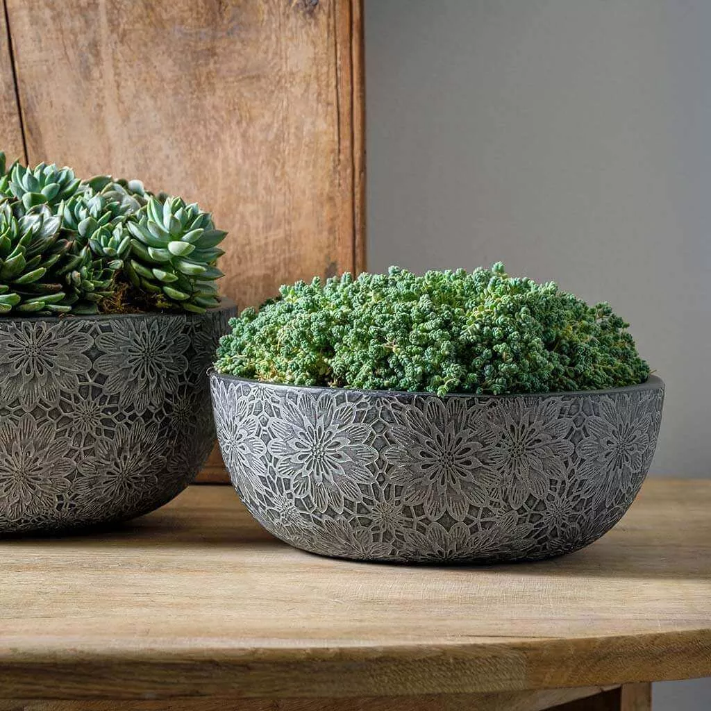 campania-chrysanthemum-bowl-set-4 Campania Chrysanthemum Bowl Set of 4