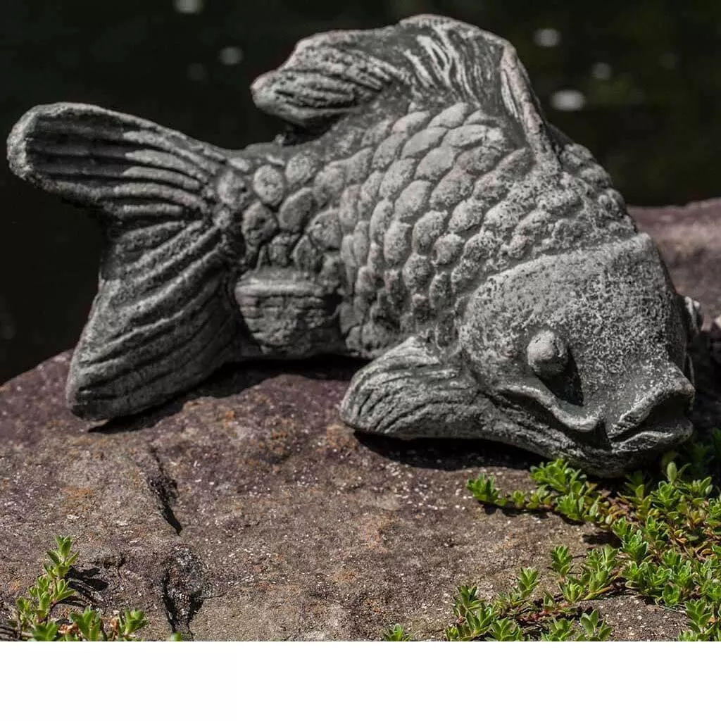 campania-coy-koi Campania Coy Koi