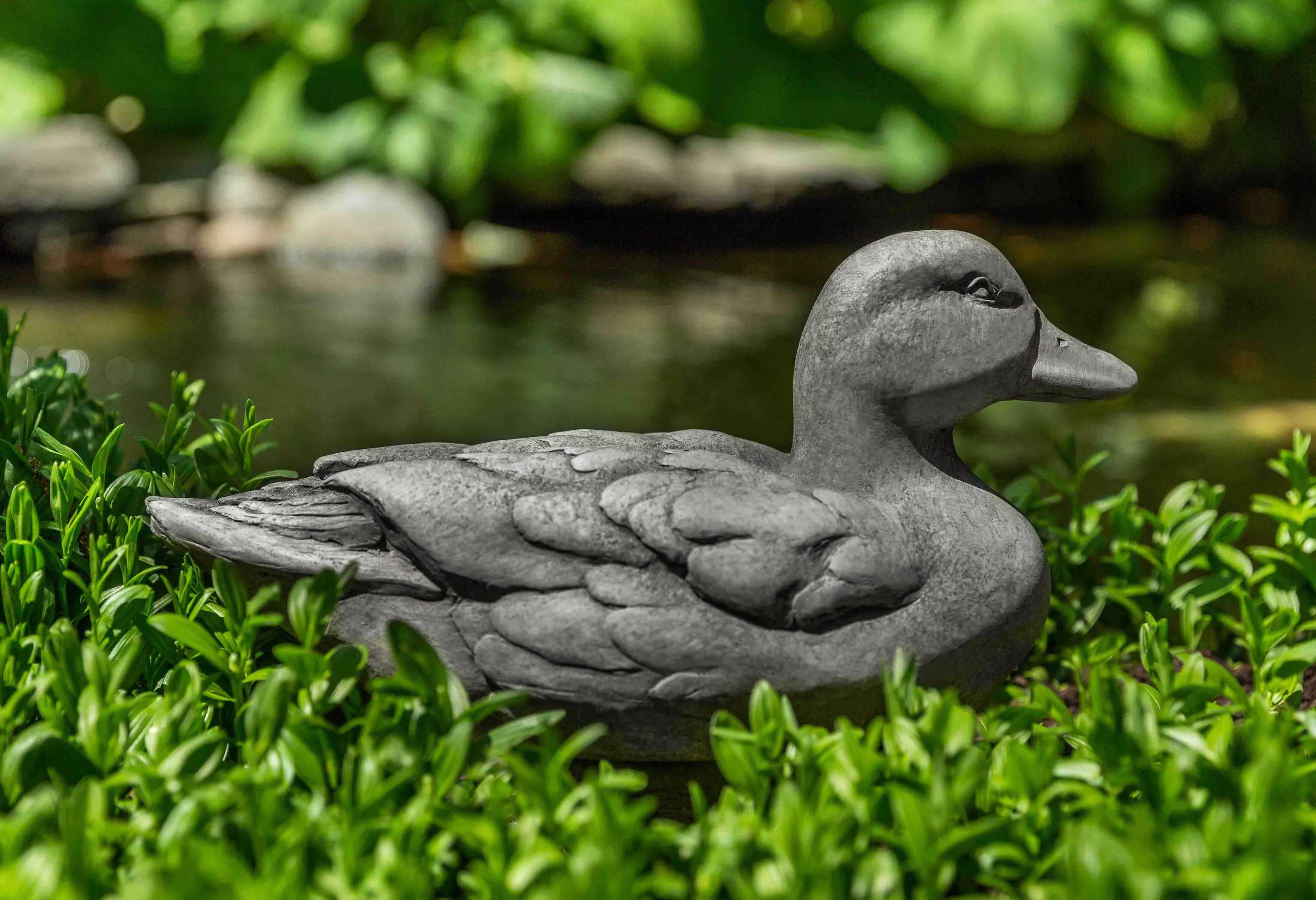campania-decoy-duck Campania Decoy Duck