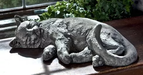 campania-dreaming-kitty Campania Dreaming Kitty