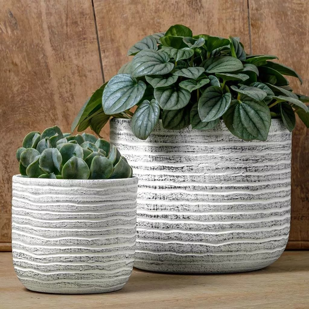 campania-drift-planter-dusty-white-set-8 Campania Drift Planter - Dusty White - Set of 8