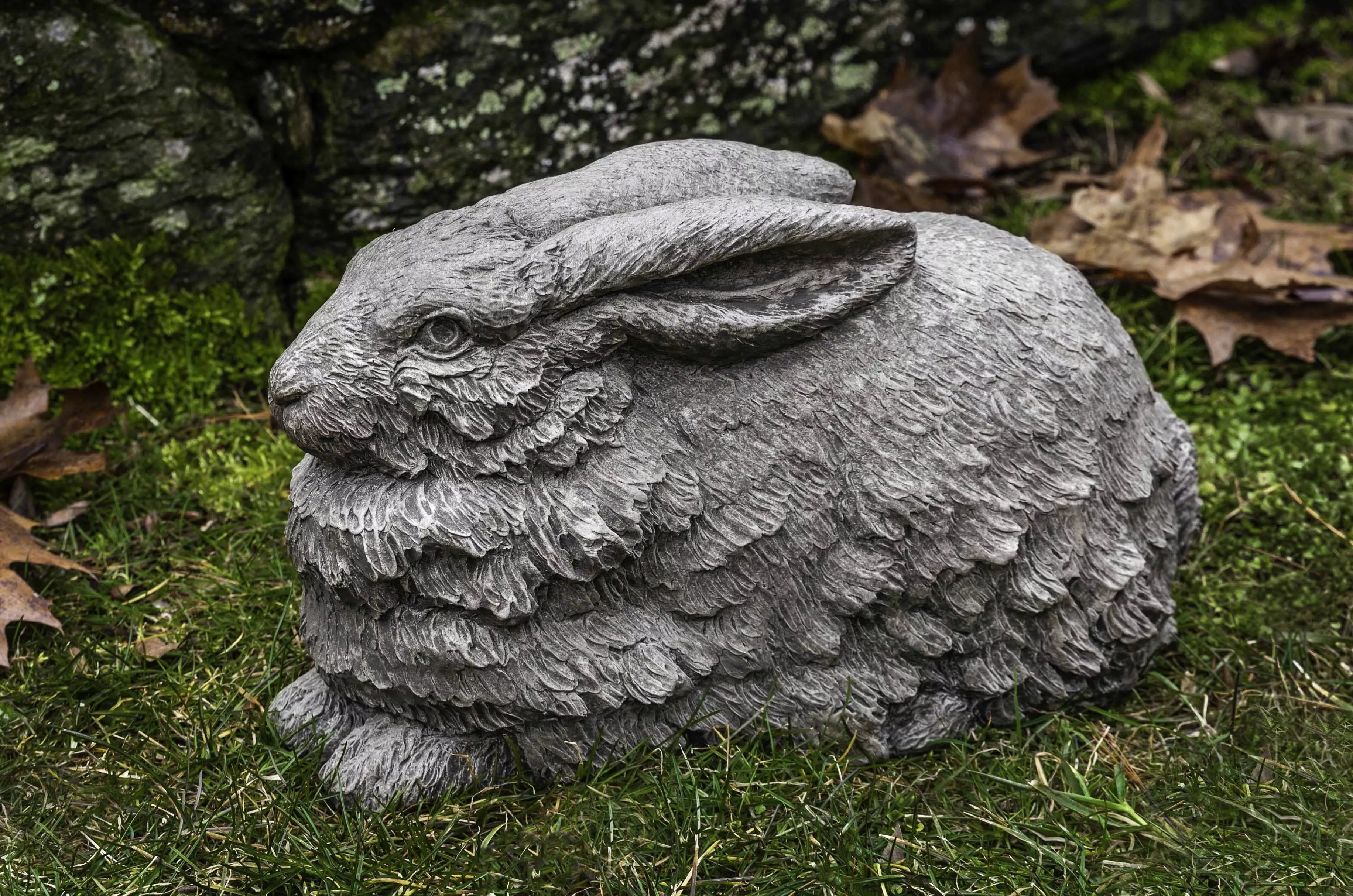 campania-flemish-hare Campania Flemish Hare