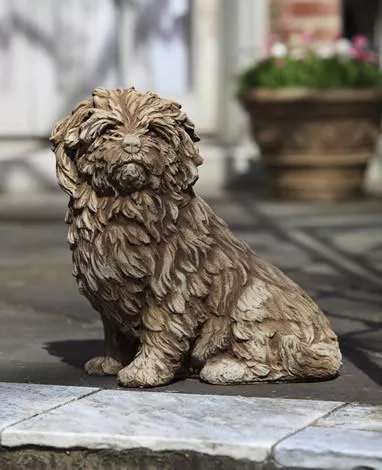 campania-fluffy-dog Campania Fluffy Dog