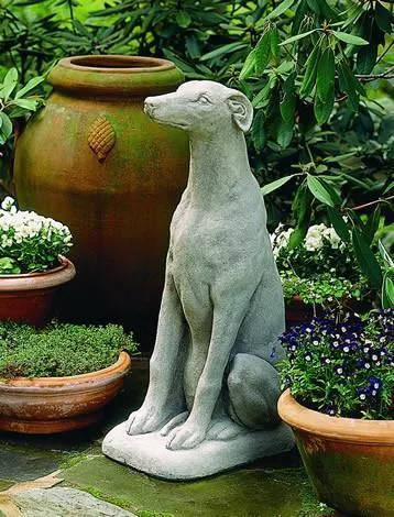 campania-greyhound Campania Greyhound