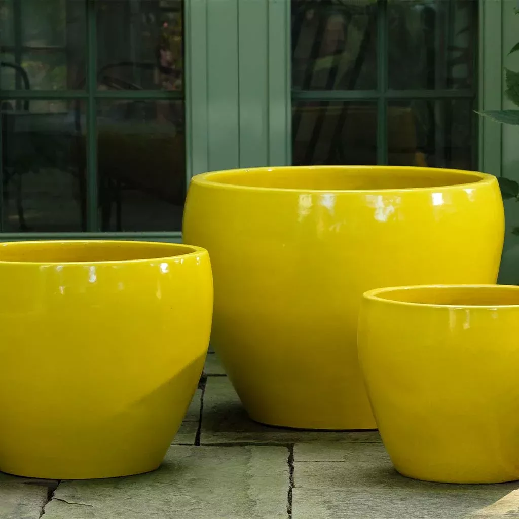 campania-international-cabachon-planter-in-limon-set-3 Campania International Cabachon Planter in Limon set of 3