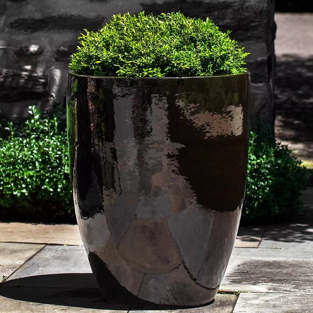 Campania International Marta Planter in Cola set of 3