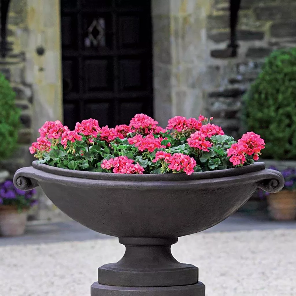 Campania International Medici Large Oval Planter