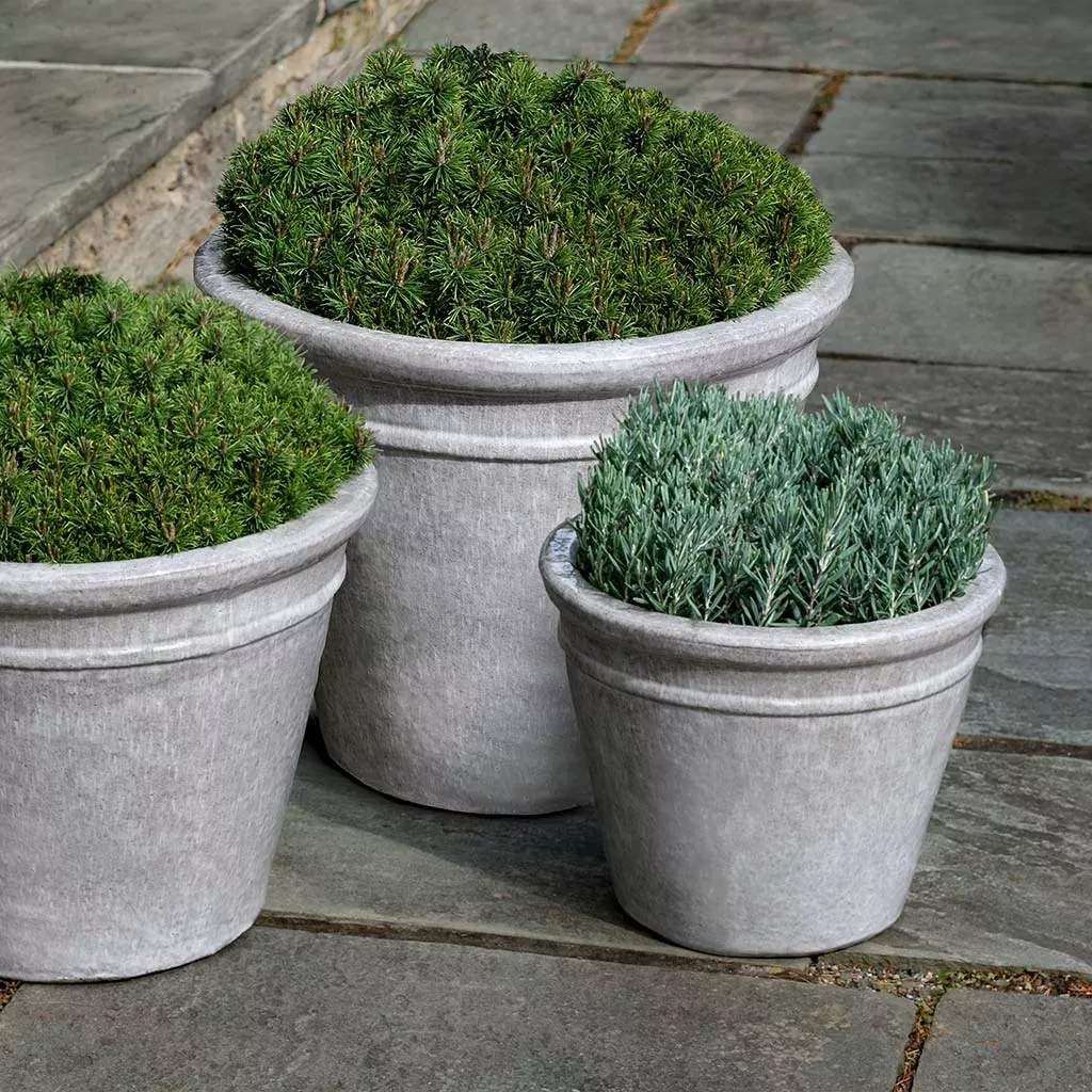 Campania Marchand Planter - Angkor Yellow