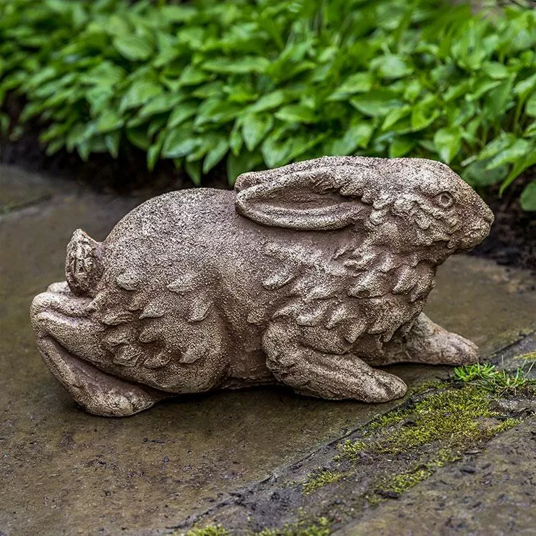Campania Meadow Rabbit
