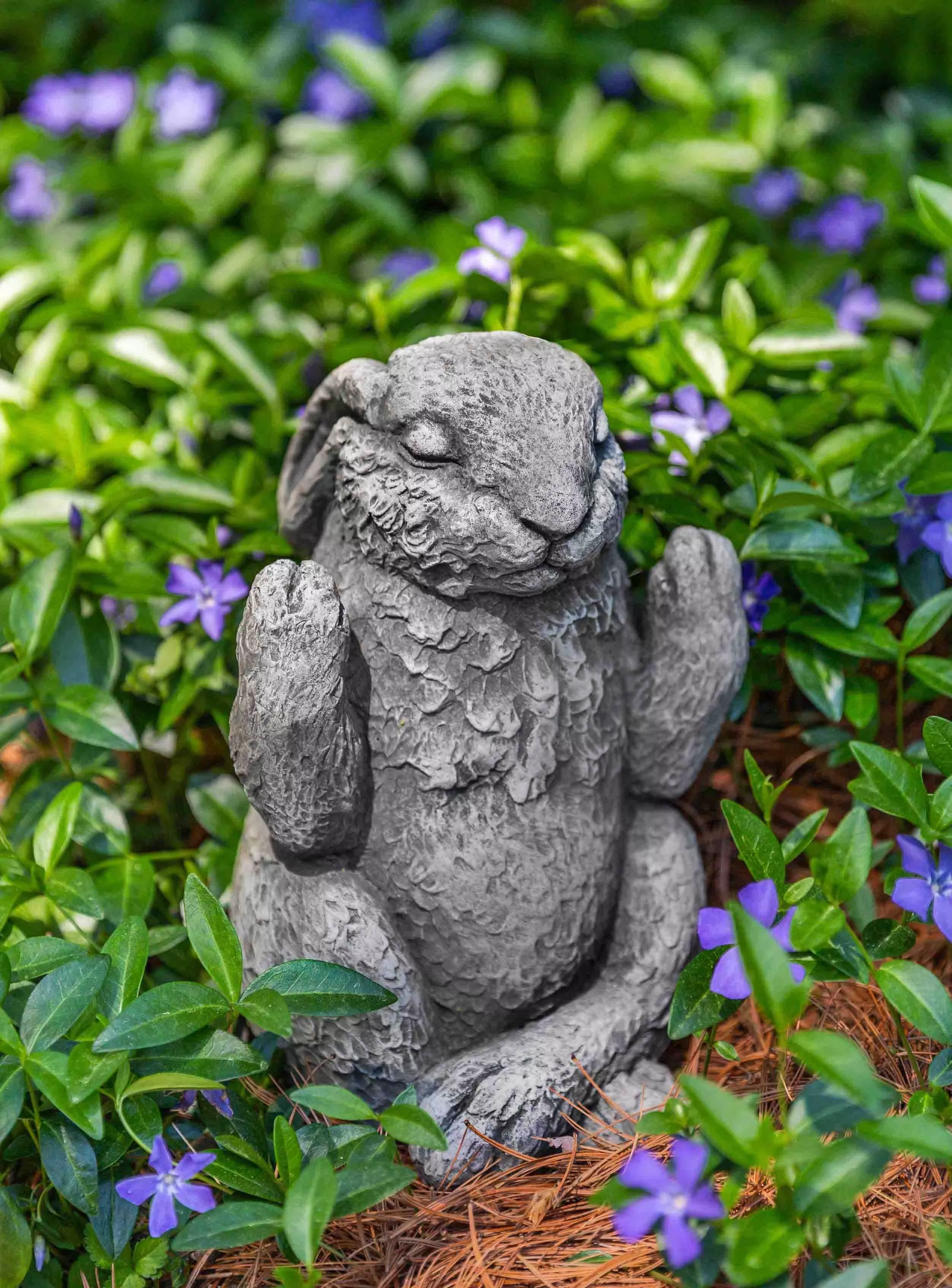 Campania Meditation Bunny