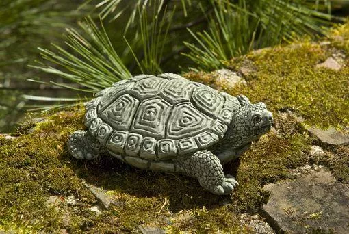 campania-my-pet-turtle Campania My Pet Turtle