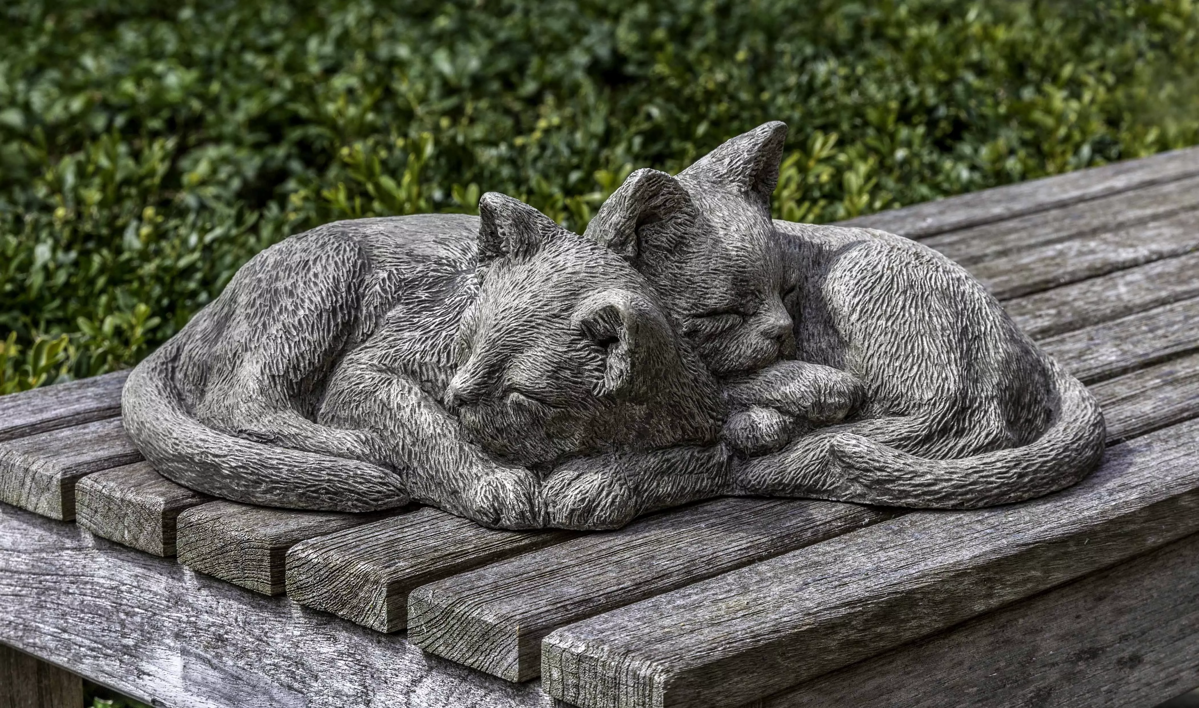 campania-nap-time-kittens Campania Nap Time Kittens