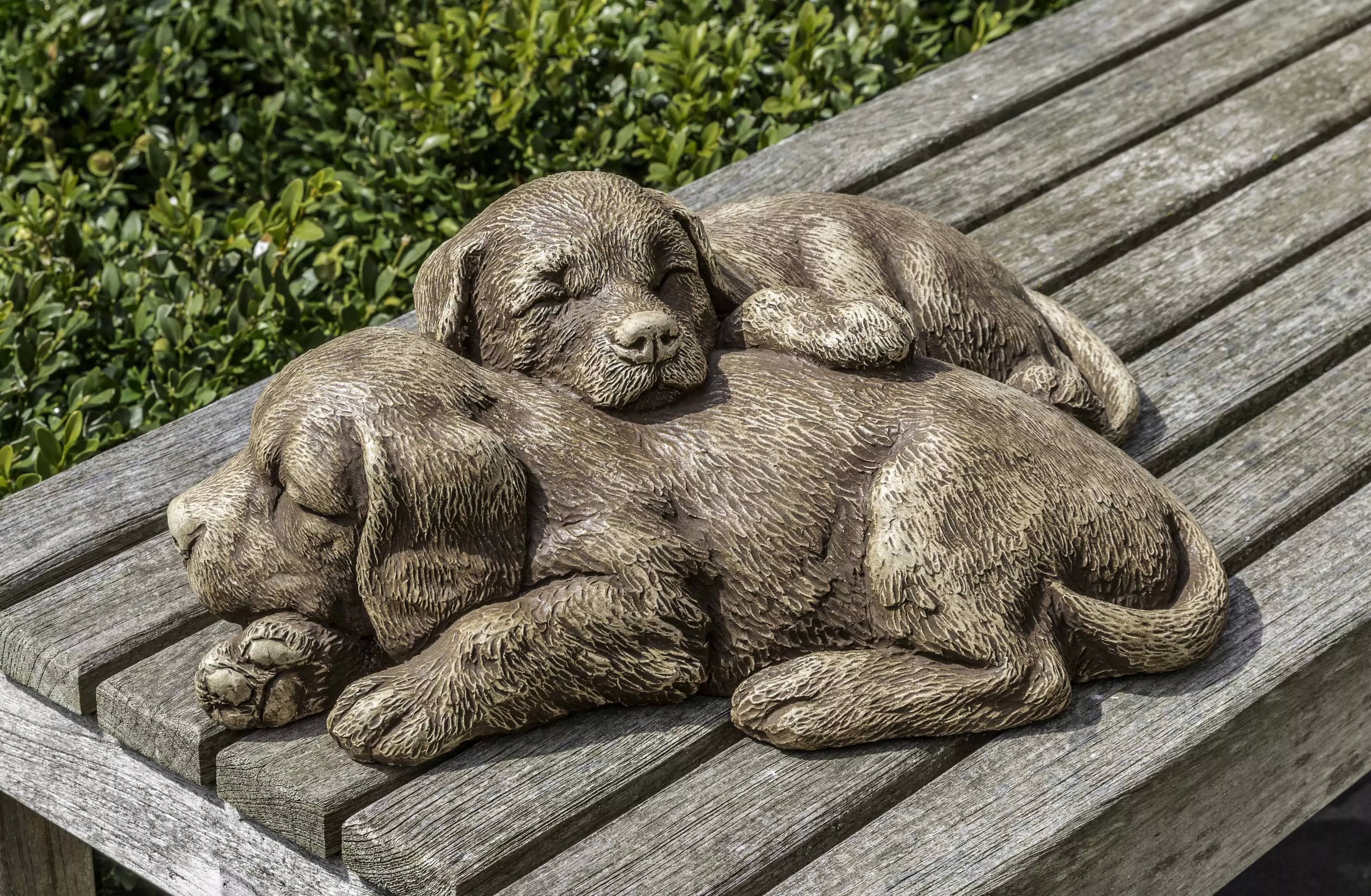 campania-nap-time-puppies Campania Nap Time Puppies