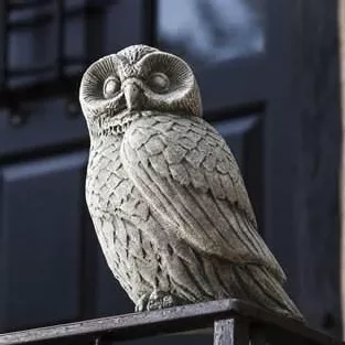 Campania Night Owl