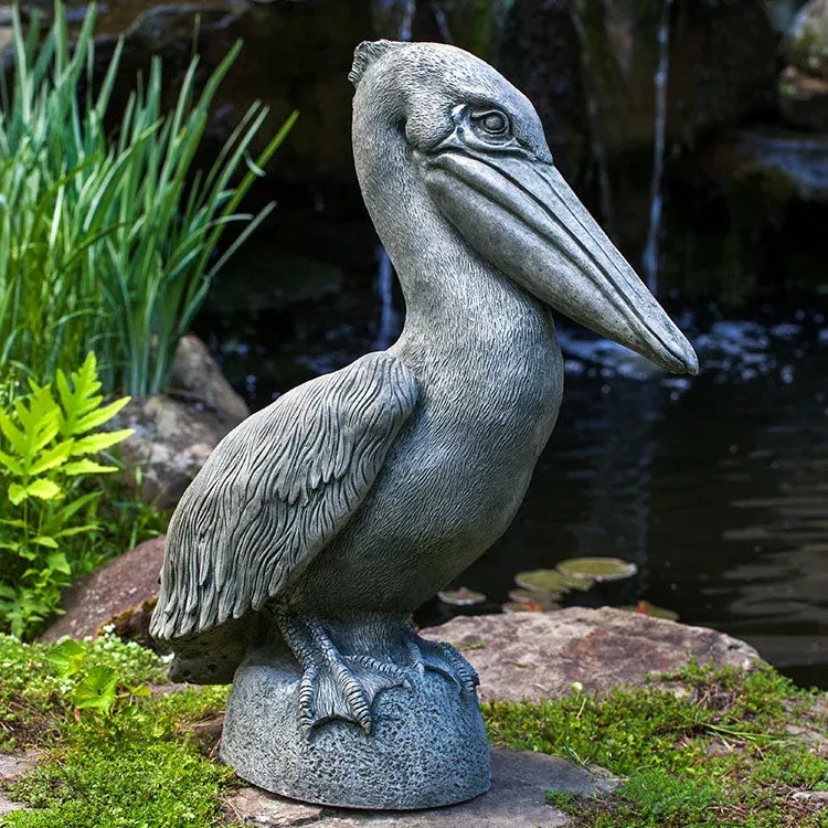 campania-pelican Campania Pelican