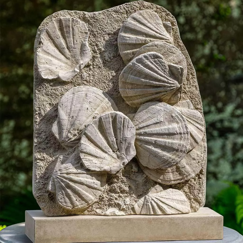 Campania Scallop Shell Fossil
