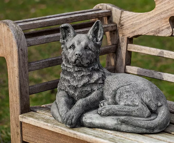 campania-shepherd-pup Campania Shepherd Pup