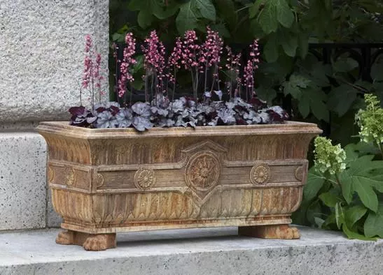 Campania Smithsonian Eastlake Fern Box (3 pc)