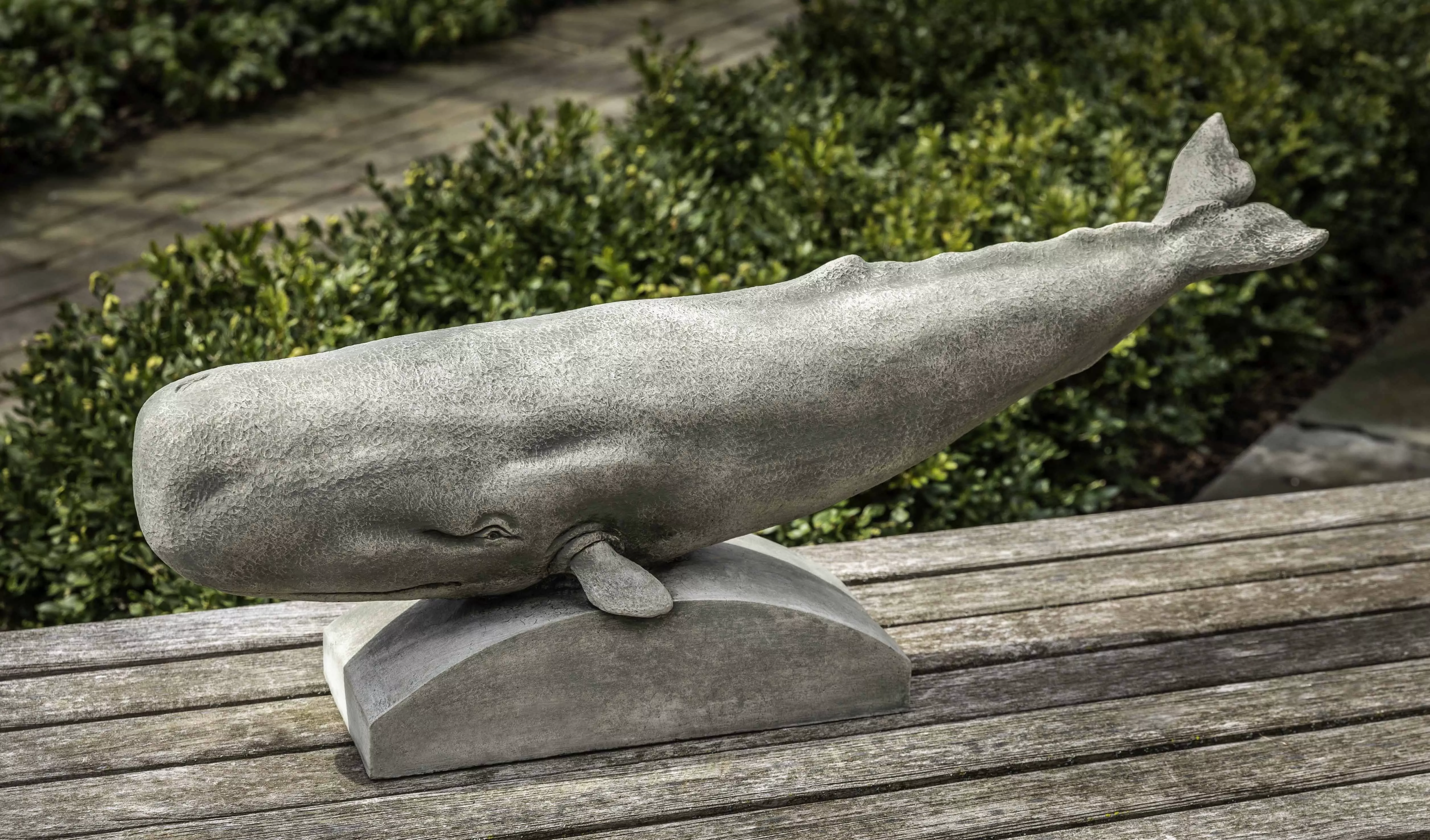 campania-sperm-whale Campania Sperm Whale