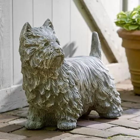campania-westie Campania Westie