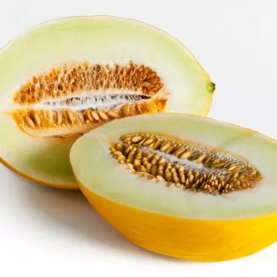canary-melon Canary Melon