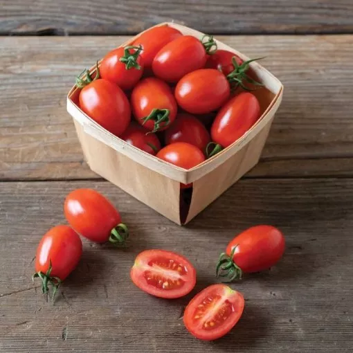 Candy Bell Tomato Seeds